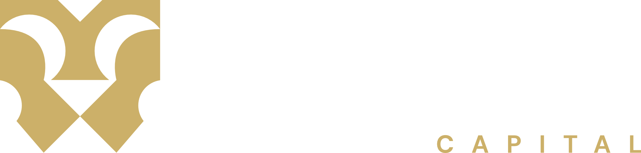 Zion Search Capital